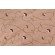 Sample of Robert Allen Addison Flora Embroidered Polyester Drapery Fabric in Birch 