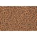Thibaut Cats Meow F95110 Printed Cotton Drapery Fabric in Gold 