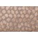 Hamilton Lynx Velvet Upholstery Fabric in Taupe 