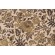 Sample of Richloom Sedgewick Printed Linen Blend Drapery Fabric in Ebony 