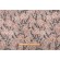 Click for Stof France Hortensia Printed Cotton Twill Drapery Fabric in Naturel  Stof France Hortensia Printed Cotton Twill Drapery Fabric in Naturel