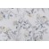 P Kaufmann Kimono Vine Printed Cotton Drapery Fabric in Putty 