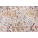 Kaufmann Culture Vulture Printed Cotton Drapery Fabric in Buttercream