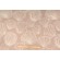 Bella Dura Scallopin Solution Dyed Acrylic Outdoor Fabric in Beach