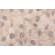 PK Lifestyles Farmhouse Leaf Printed Polyester Outdoor Fabric in Natural
