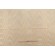 Fonthill Rayure Marquis Moire Decorator Fabric in Champagne for Scalamandre