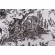 Thibaut Chateau De Loir F97308 Printed Cotton Drapery Fabric in Black on White