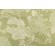 Thibaut Cut Paper F95334 Printed Cotton Drapery Fabric in Green