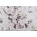 Sample of Kaufmann Picturesque Printed Cotton Drapery Fabric in Oat 