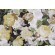 Kaufmann Lisbeth Printed Cotton Drapery Fabric in Moonglow 