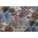 PK Lifestyles Lovina Beach Printed Cotton Drapery Fabric in Dawn 