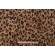 P Kaufmann Kumal Printed Velveteen Decorator Fabric in Curry 