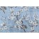 Swavelle/Mill Creek Kanami-Pierside Printed Polyester Drapery Fabric in Rainfall 