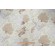 Click for 11 Yards Thibaut Molokini F95734 Printed Drapery Fabric in Natural Thibaut Molokini F95734 Printed Drapery Fabric in Natural