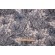 Stof Fabrics Caledonie Printed Cotton Blend Drapery Fabric in Bleu