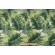 Click for 14 Yards Tommy Bahama Escape Route Printed Polyester Outdoor Fabric in Jade Tommy Bahama Escape Route Printed Polyester Outdoor Fabric in Jade