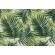 Click for 14 Yards Tommy Bahama Escape Route Printed Polyester Outdoor Fabric in Jade Tommy Bahama Escape Route Printed Polyester Outdoor Fabric in Jade