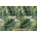 Click for 10 Yards Tommy Bahama Escape Route Printed Polyester Outdoor Fabric in Jade Tommy Bahama Escape Route Printed Polyester Outdoor Fabric in Jade
