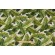 Richloom Balmoral Printed Polyester Outdoor Fabric in Palm