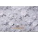 Covington Joybird Printed Cotton Drapery Fabric in 96-Dove 
