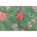 Covington Amesbury Printed Linen Blend Drapery Fabric in 212-Garden 