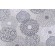 Click for Magnolia Home Lancaster Printed Cotton Drapery Fabric in Mist  Magnolia Home Lancaster Printed Cotton Drapery Fabric in Mist