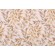 Tommy Bahama Bimini Beach Printed Cotton Twill Drapery Fabric in Lemongrass