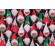 Timeless Treasures Watermelon Gnomes Printed Cotton Craft Fabric in Black 