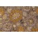 Mill Creek Dalva Printed Cotton Drapery Fabric in Platinum