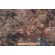 Hamilton Hatfield Printed Drapery Fabric in Tapestry 