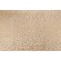 Hamilton Baxley Velvet Upholstery Fabric in Gold 