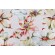 Hamilton Reece Printed Cotton Drapery Fabric in Jewel 
