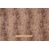 Kaufmann Wild Woven Chenille Upholstery Fabric in Safari