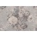 Waverly Ballad Bouquet Printed Linen Blend Drapery Fabric in Platinum