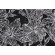 Solartex Floral Printed Polyester Outdoor Fabric in Chalkboard