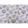 Magnolia Home Longboat Printed Cotton Drapery Fabric in Aquarius 