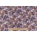 Timeless Treasures Quirky Cats - Packed Realistic Cats Printed Cotton Craft Fabric in Natural 