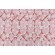 P Kaufmann Garden Lattice Printed Cotton Drapery Fabric in Petal 
