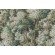 P Kaufmann Into The Woods Printed Cotton Drapery Fabric in Emerald 