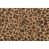 P Kaufmann Feline Printed Cotton Drapery Fabric in Safari 