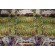 Click for Dona Gelsinger Fabrics Of SoHo Wine Country - Beautiful Vineyard Sunset 24'' Panel Printed Cotton Craft Fabric in Black for Timeless Treasures  Dona Gelsinger Fabrics Of SoHo Wine Country - Beautiful Vineyard Sunset 24'' Panel Printed Cotton Craft Fabric in Black for Timeless Treasures