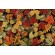 Fabrics of SoHo Fall Is In The Air - Metallic Fall Leaves Printed Cotton Craft Fabric in Black for Timeless Treasures 