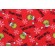 Robert Kaufman How The Grinch Stole Christmas Collection ADE-20995-223 Printed Cotton Craft Fabric in Holiday 