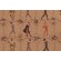 Scalamandre Comedie Reduit Tapestry Upholstery Fabric in Beige