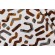 PK Lifestyles Studio Tagged Embroidered Cotton Decorator Fabric in Java