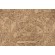 P Kaufmann Prowl Printed Cotton Drapery Fabric in Gold