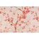 Richloom Posies Printed Linen Blend Drapery Fabric in Coral