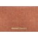 CF Stinson Ceremony Woven Backed Polyolefin Outdoor Fabric in Papaya