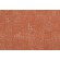 CF Stinson Ceremony Woven Backed Polyolefin Outdoor Fabric in Papaya
