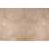 Covington Vogue Damask Woven Upholstery Fabric in 820 Empire Gold